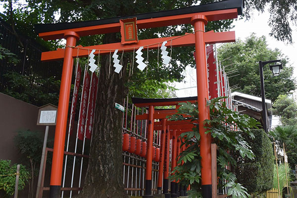 下神明天祖神社のおすすめ撮影スポット2