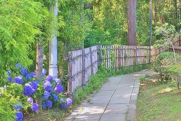 神峰神社 スポット2