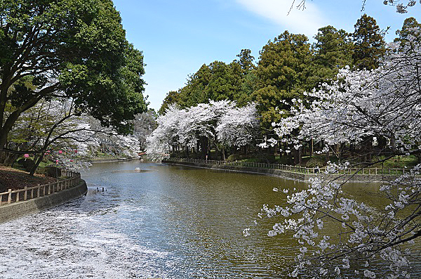間々田八幡宮 スポット１