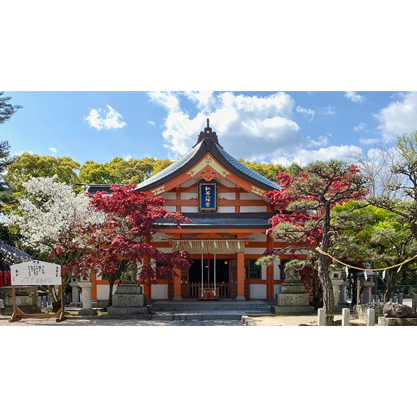 紅葉八幡宮 外観１