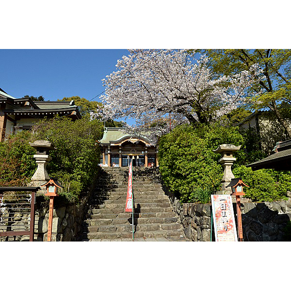 到津八幡神社 外観３