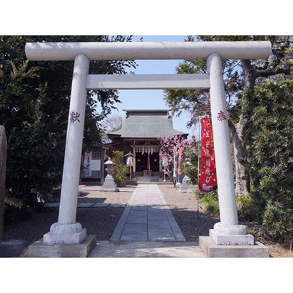 櫻井子安神社メイン画像１