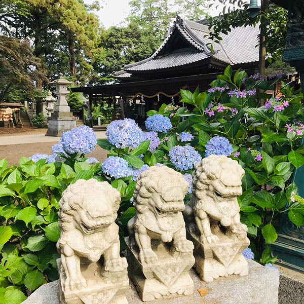 大宝八幡宮 茨城県下妻市