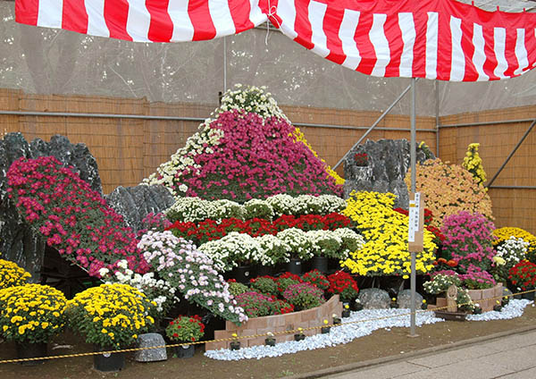 大宝八幡宮のおすすめ撮影スポット1