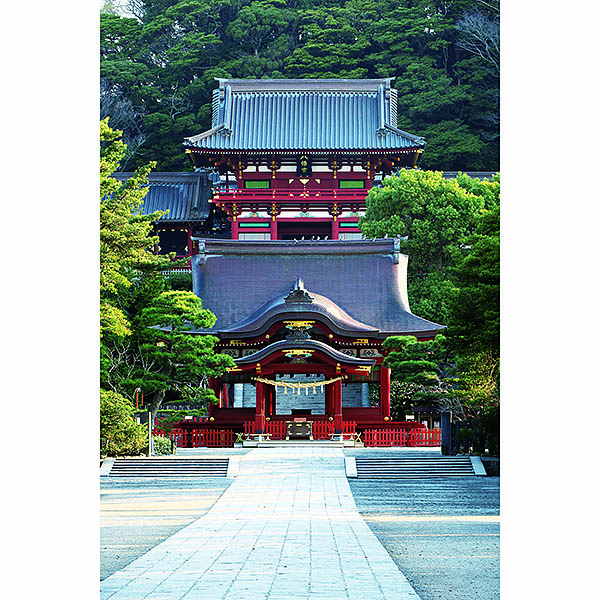 鎌倉八幡宮境内(額装済み) tsurugaoka-wakamiya-catch02.jpg