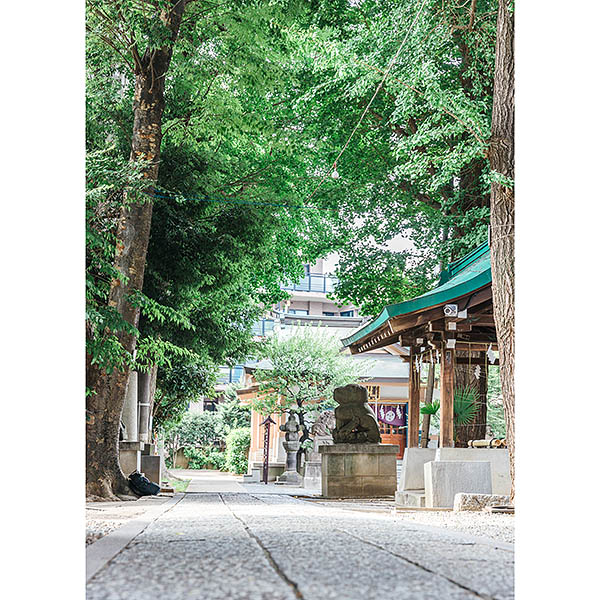 穏田神社メイン画像３