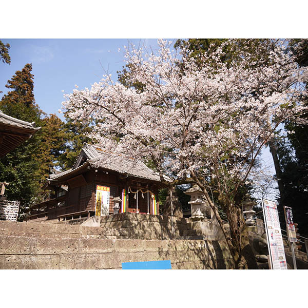 星宮神社メイン画像２