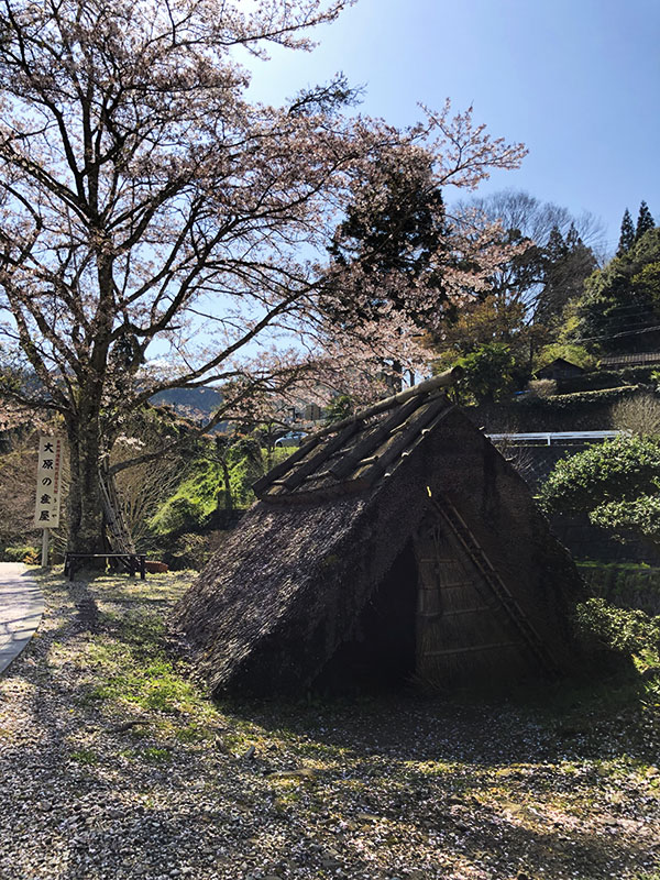 大原神社メイン画像３