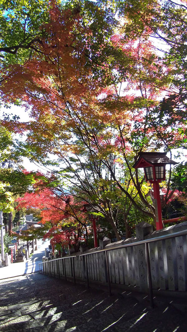 艮神社のおすすめ撮影スポット