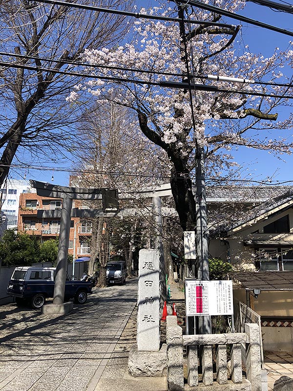 穏田神社のおすすめ撮影スポット1