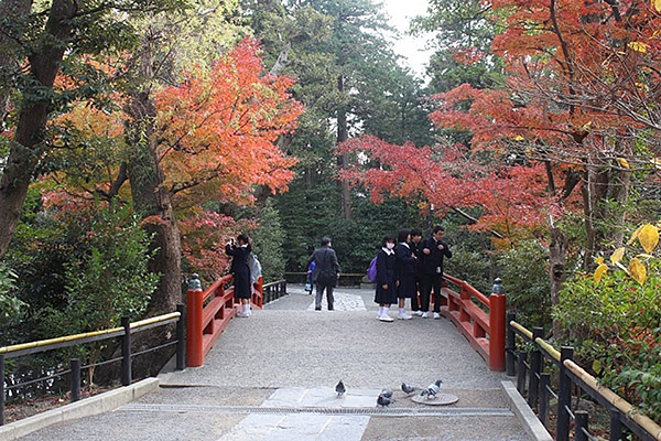 鶴岡八幡宮のおすすめ撮影スポット2