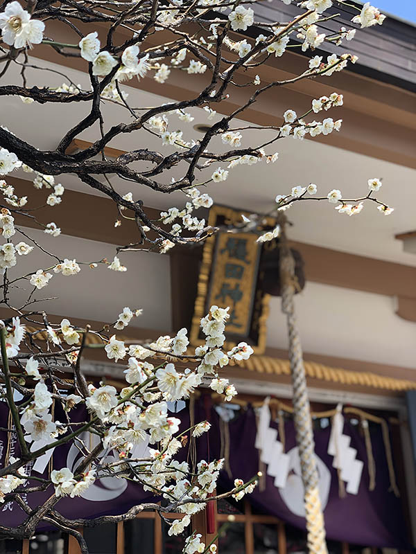 穏田神社のおすすめ撮影スポット2