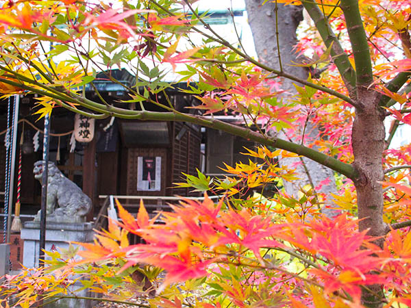 三河稲荷神社のおすすめ撮影スポット3