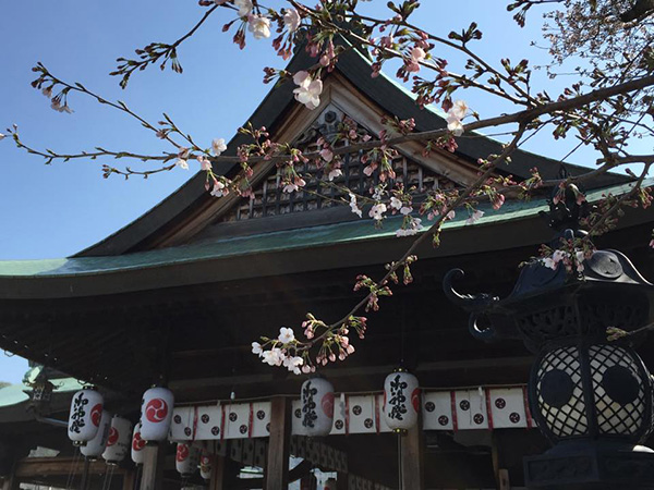 石清尾八幡宮のおすすめ撮影スポット1