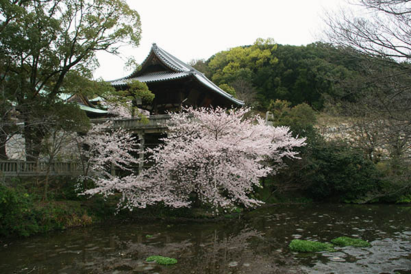 石清尾八幡宮のおすすめ撮影スポット2