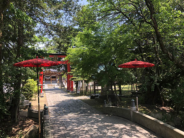 諏訪神社おすすめ撮影スポット3