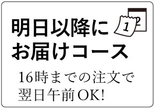 礼服レンタル　明日以降にお届け