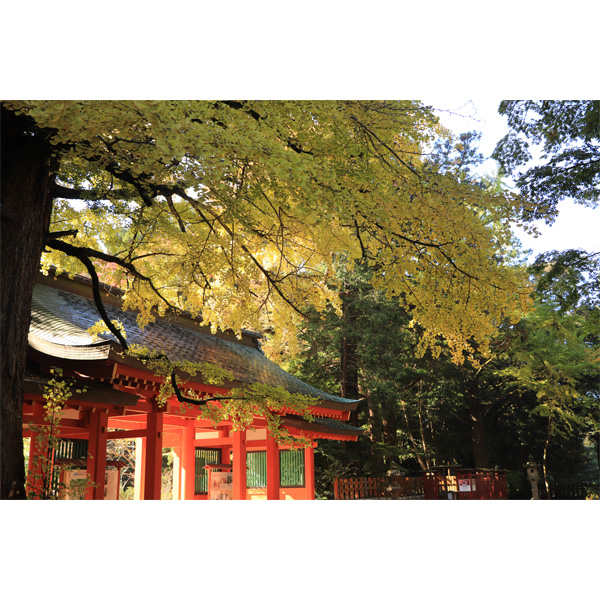 香取神宮 外観３