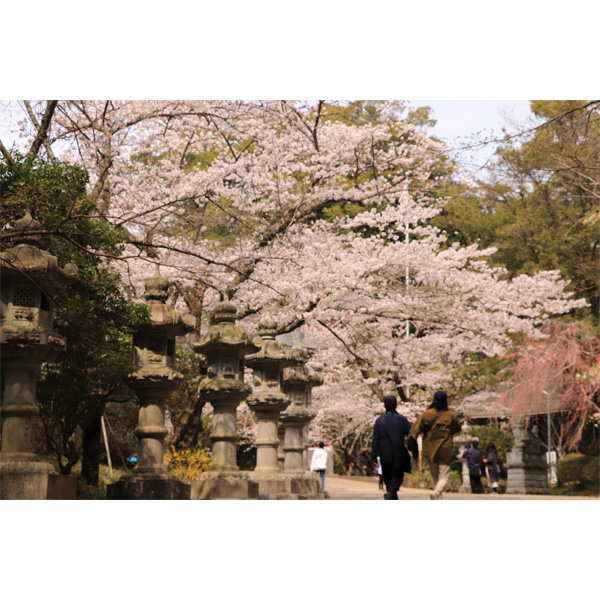 香取神宮 外観４