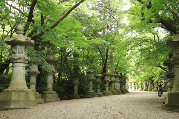 香取神宮 スポット３