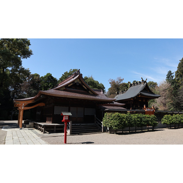 鷲宮神社 外観２