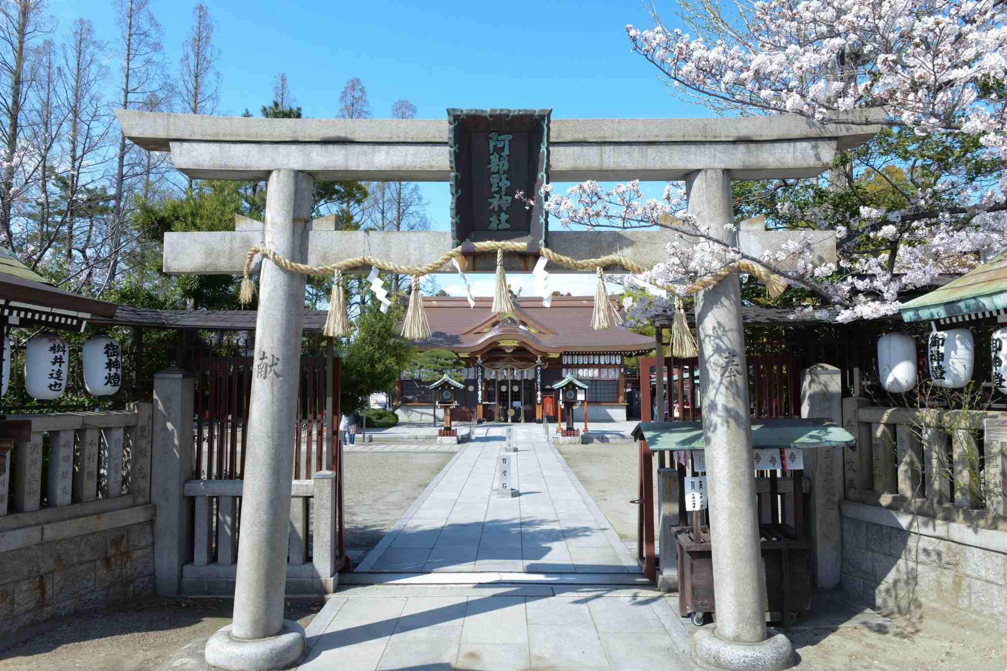 阿部野神社 スポット２