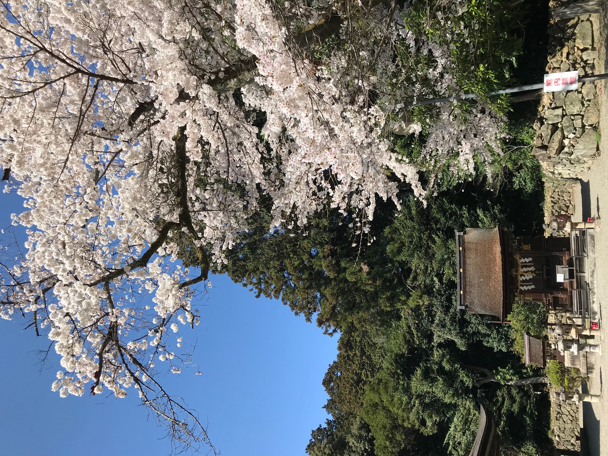 御上神社　スポット２