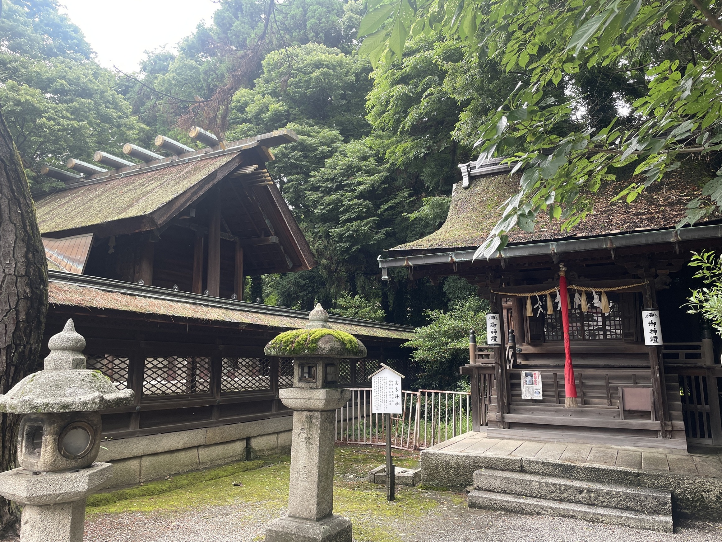 長濱八幡宮 スポット１