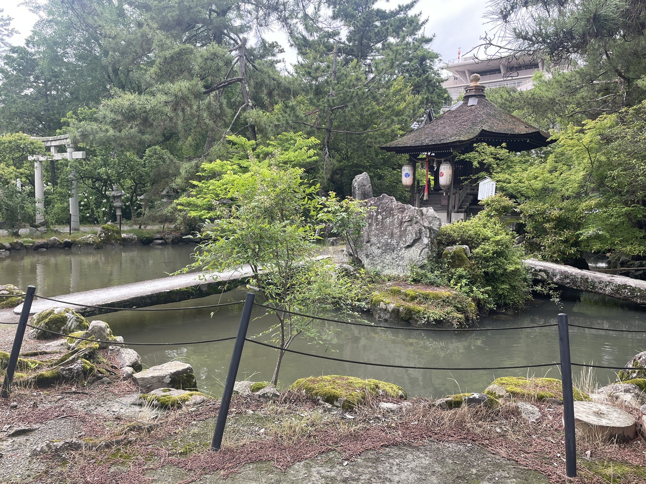長濱八幡宮 スポット３