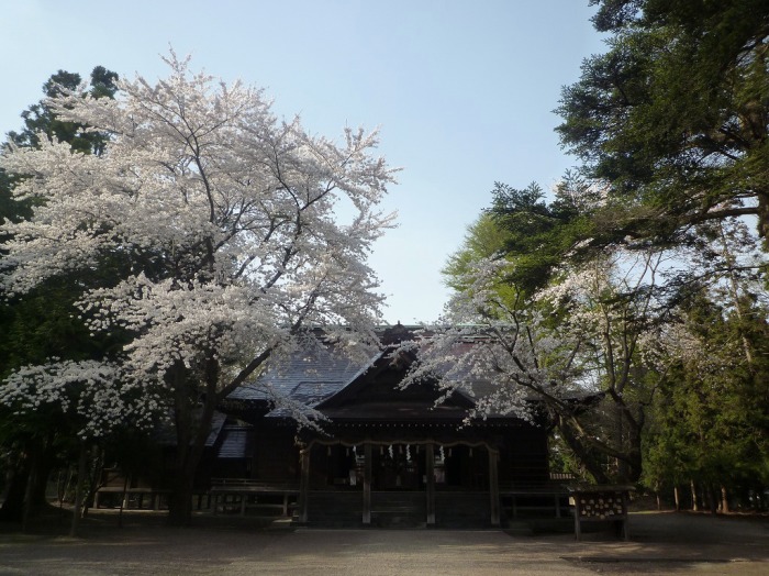 猿賀神社 外観２