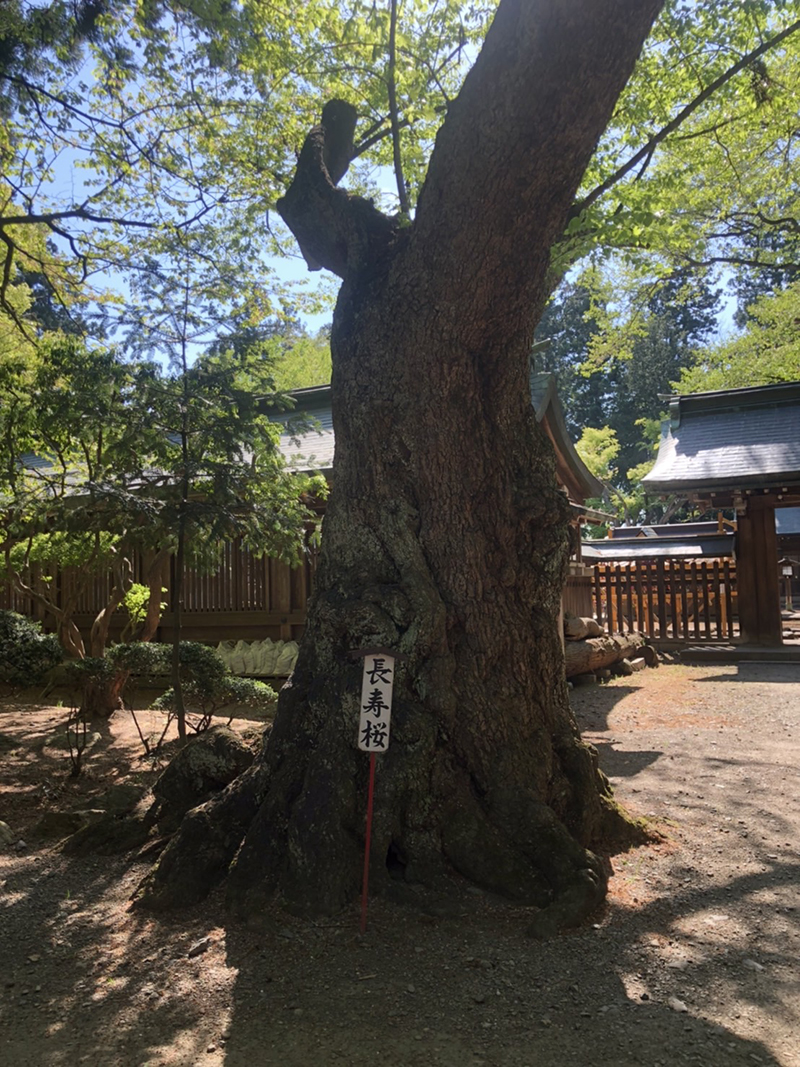 駒形神社 スポット２