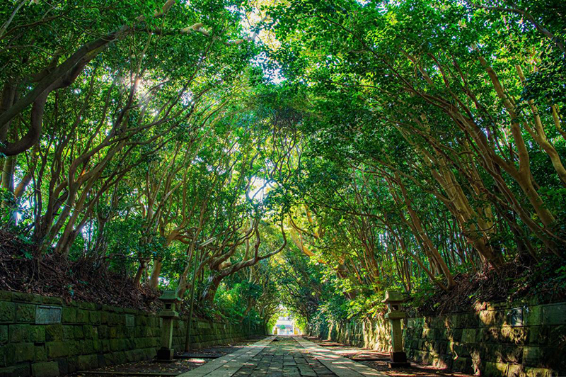 酒列磯前神社 スポット１