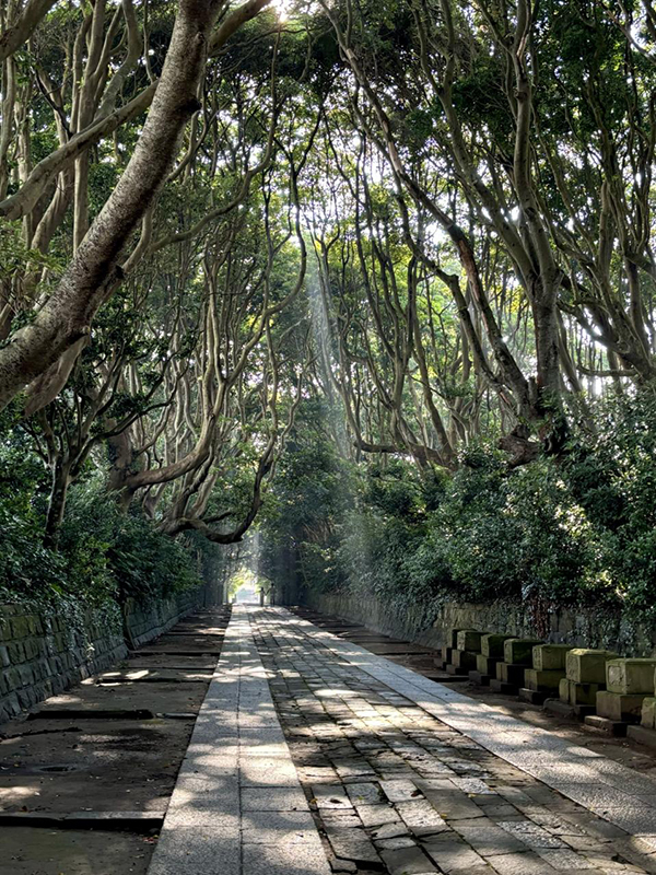 酒列磯前神社 スポット１