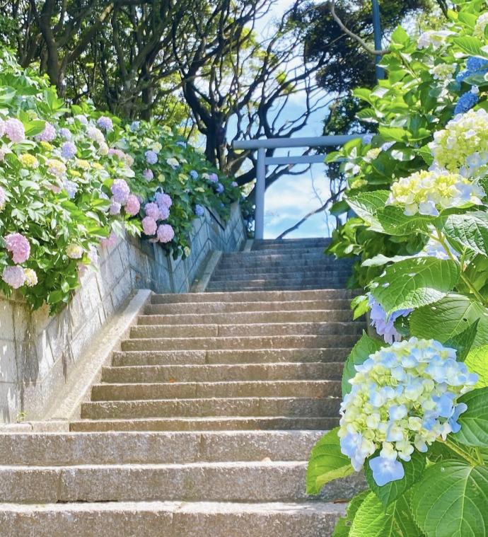 香取神宮 スポット２