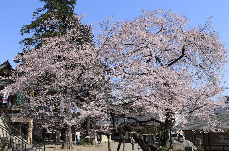 高麗神社 スポット１