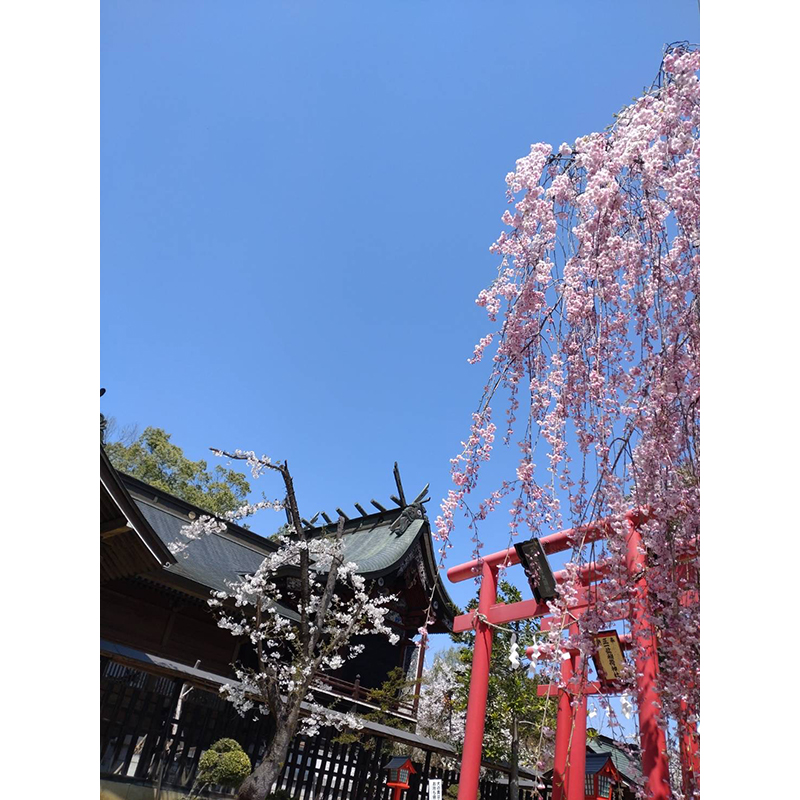 寒河江八幡宮 外観２