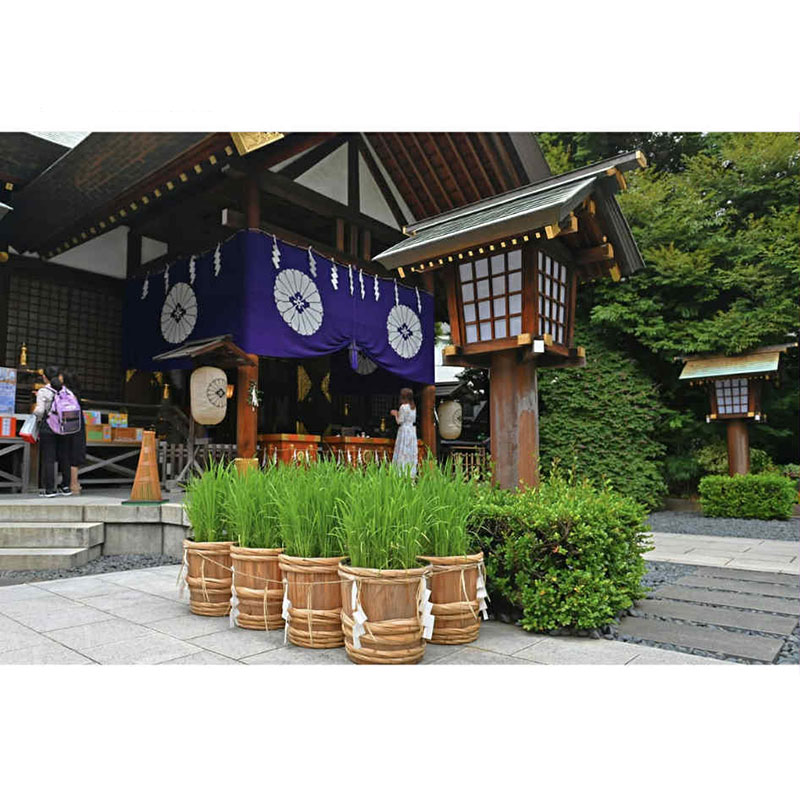 東京大神宮 外観３