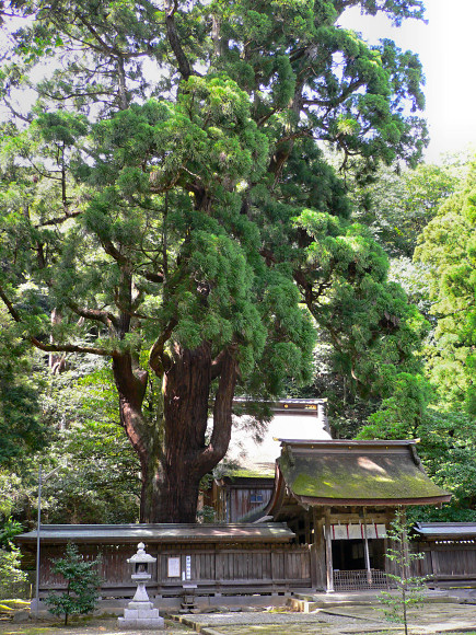 若狭彦神社 スポット２