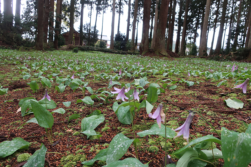 劔神社 スポット４