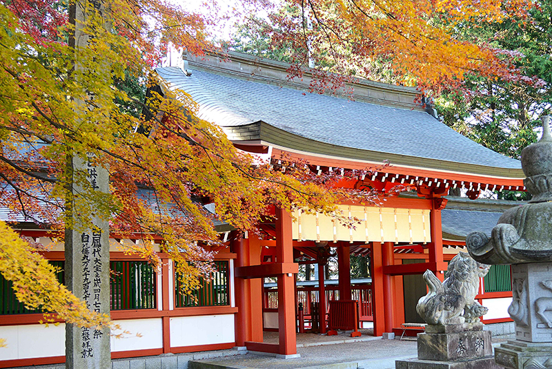 冨士御室浅間神社 スポット１