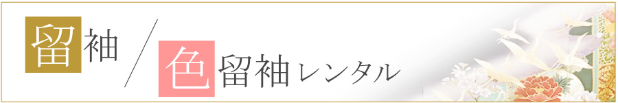 夏用の色留袖（単衣・絽）レンタル